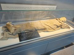 -巴音郭楞蒙古自治州博物馆