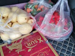 -西北农副产品中心批发市场(广安路店)