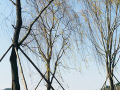 -星巴克(成都科学城店)