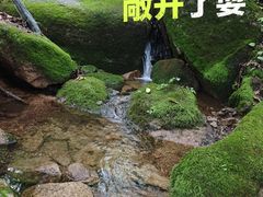 -三块石国家森林公园