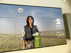 -首开·龙湖成都西宸天街