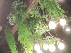 -肥佬大椰子鸡(三里屯3·3大厦店)