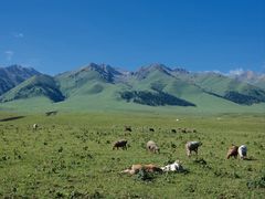 -新疆那拉提国家旅游度假区