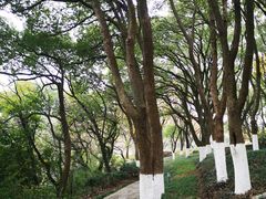 -上海市保健医疗中心