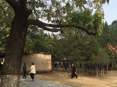 -西柏坡纪念馆