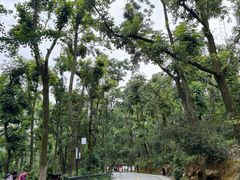 -岳麓山风景名胜区