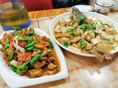 -煲来饱去冷水鱼