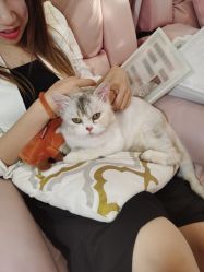 -Beauty Nails 美甲美睫皮肤管理