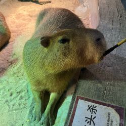 -Zoolung Zoolung动物主题公园(海信广场店)