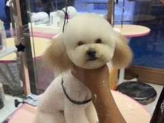 -FAELING PETS美天灵宠物(富力广场店)