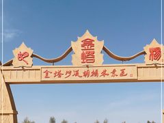 -金塔沙漠胡杨林景区