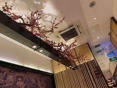 -老板恋上鱼(荣盛广场店)