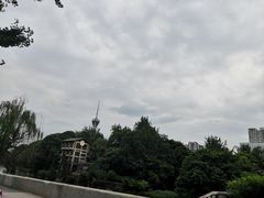 -成都市活水公园