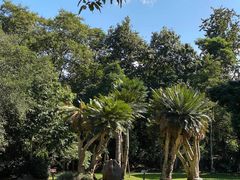 -中国科学院西双版纳热带植物园