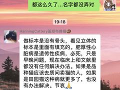 -丹景宠物医院·全科·老年病·牙科(武昌诊疗中心)
