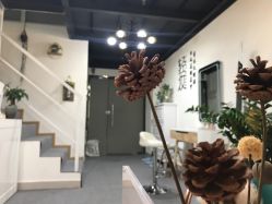 -Doris多里斯半永久纹眉·SMP纹发·发际线