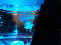 -重庆欢乐海底世界