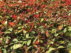 -苏州河梦清园环保主题公园