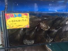 -蚝专家(北滘店)