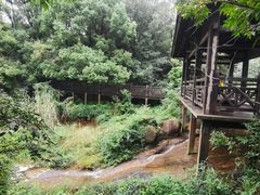 -白马涧龙池景区