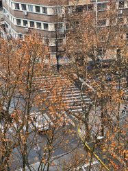 点击看大图 -海豚湾高端月子会所(黄浦店)