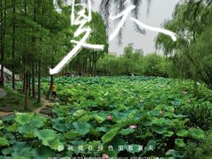 -大宁公园