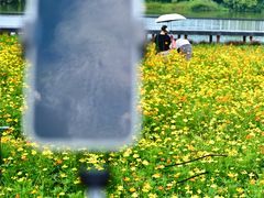 -海珠湖公园