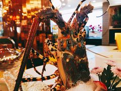 -御满江海鲜酒家(洛溪新城店)