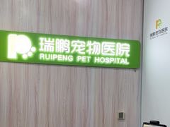 -瑞鹏宠物医院·微创内窥镜·骨外科·牙科(翠竹分院)