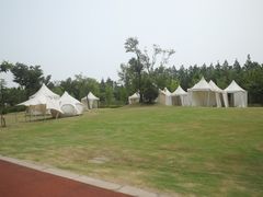 -上海长兴岛郊野公园