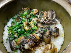 -红星光发煲仔饭(文海店)