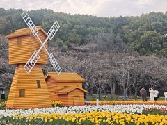 -苏州上方山国家森林公园