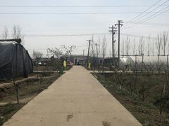 -徐州市湖滨中心小学