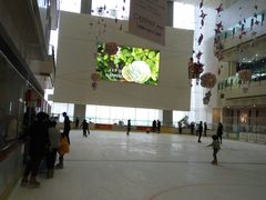 -冰纷万象滑冰场(二七万象城店)
