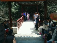 android_upload_pic-穹窿山景区