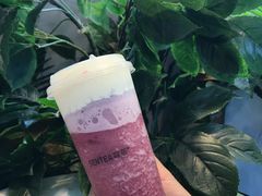 森芝味葡萄-SENTEA森茶(麦地丽日店)