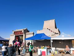 -金塔沙漠胡杨林景区