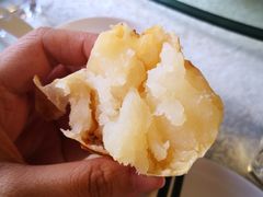-食家鸽园
