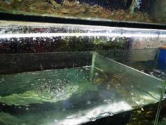 -浔味·山屿湖·正宗淳牌全鱼宴老字号