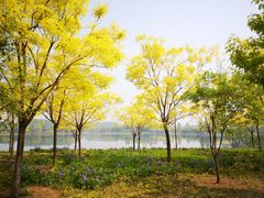 -东郊湿地公园