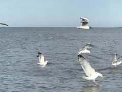 -农垦当壁镇兴凯湖旅游度假区