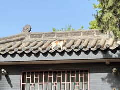 -大慈恩寺(大雁塔)