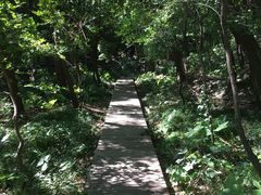 -北京上方山国家森林公园