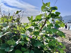 -小乡小镇·传承桐庐土菜·老板亲自烧的菜