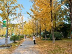 -浙江农林大学(东湖校区)