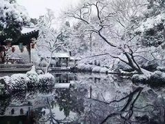 -趵突泉景区