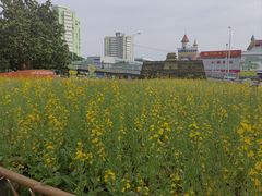 -BHG生活超市(安贞店)