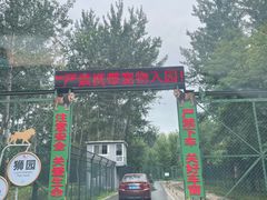 -秦皇岛野生动物园