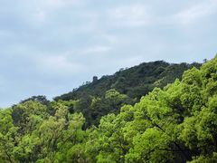 -缙云山景区