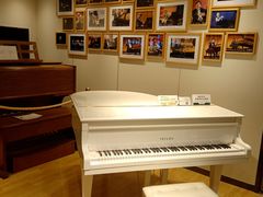 -柏斯音乐艺术中心·钢琴·吉他(上音店)